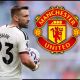 Luke Shaw in action for Man Utd