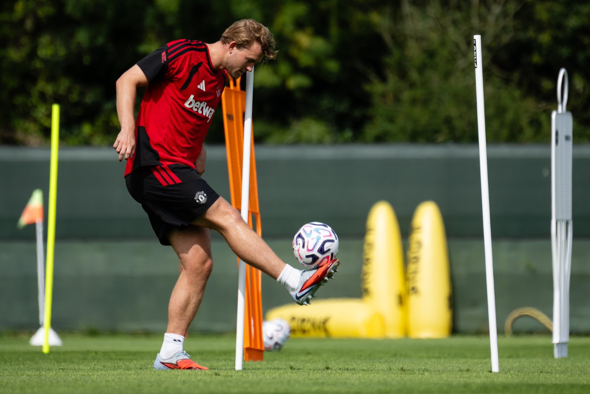 Matthijs de Ligt